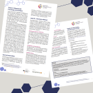 Handout - Metavorhaben Innovative Frauen im Fokus